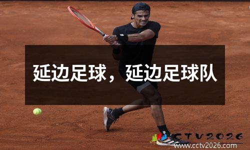 延边足球，延边足球队