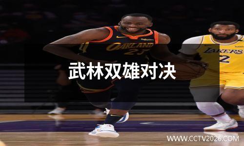武林双雄对决