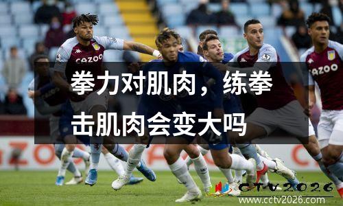 拳力对肌肉，练拳击肌肉会变大吗