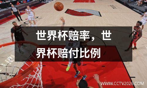 世界杯赔率，世界杯赔付比例