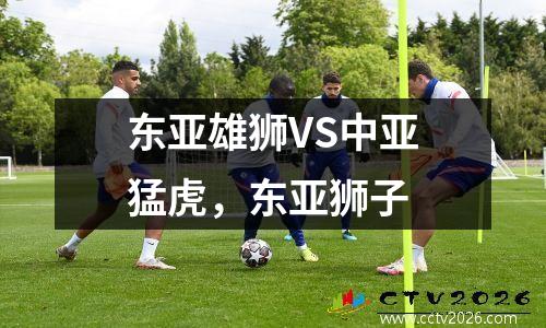 东亚雄狮VS中亚猛虎，东亚狮子