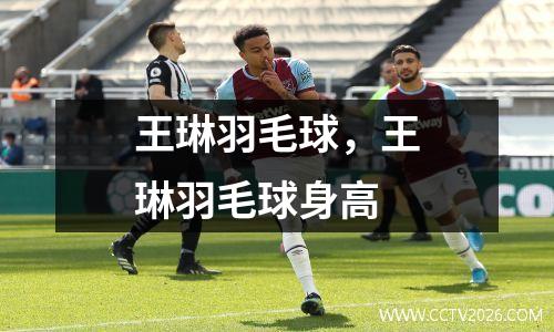 王琳羽毛球，王琳羽毛球身高