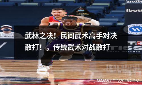 武林之决！民间武术高手对决散打！，传统武术对战散打
