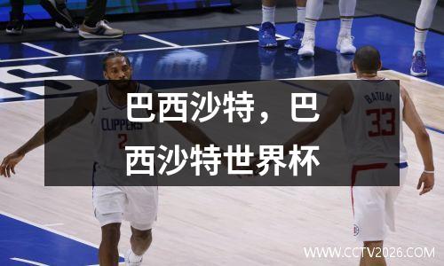巴西沙特，巴西沙特世界杯