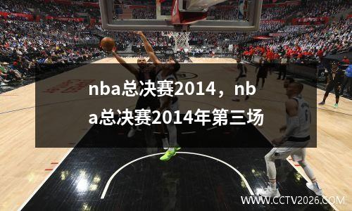 nba总决赛2014，nba总决赛2014年第三场