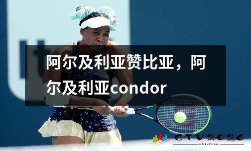 阿尔及利亚赞比亚，阿尔及利亚condor