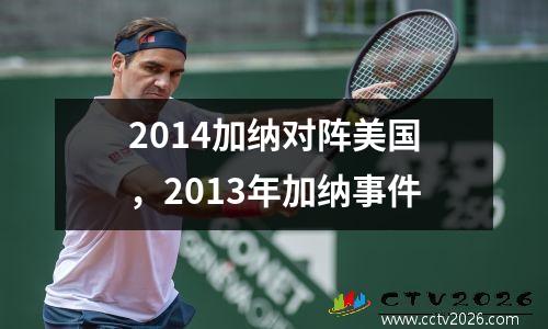 2014加纳对阵美国，2013年加纳事件
