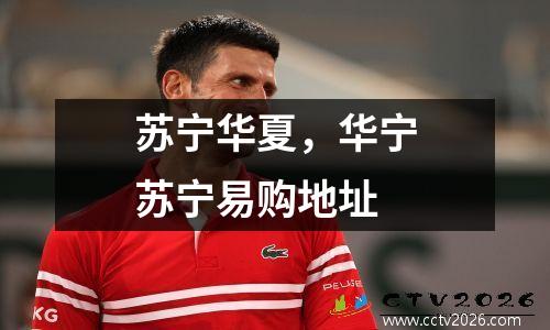 苏宁华夏，华宁苏宁易购地址