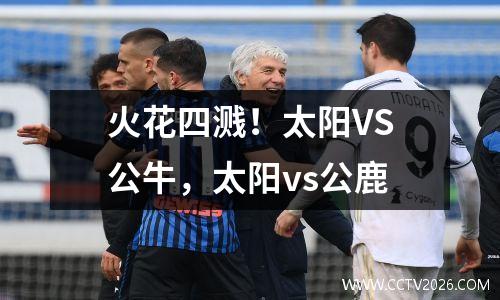 火花四溅！太阳VS公牛，太阳vs公鹿