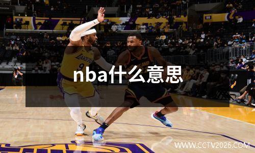 nba什么意思