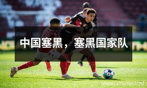 中国塞黑，塞黑国家队