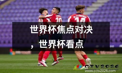 世界杯焦点对决，世界杯看点