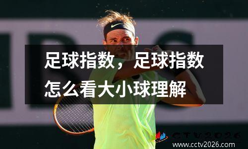 足球指数，足球指数怎么看大小球理解