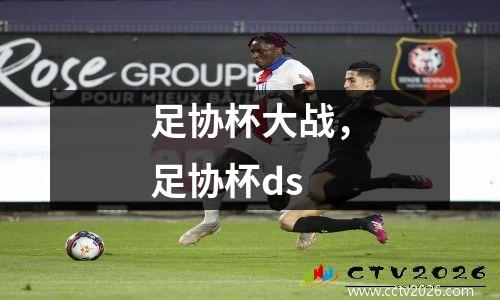 足协杯大战，足协杯ds