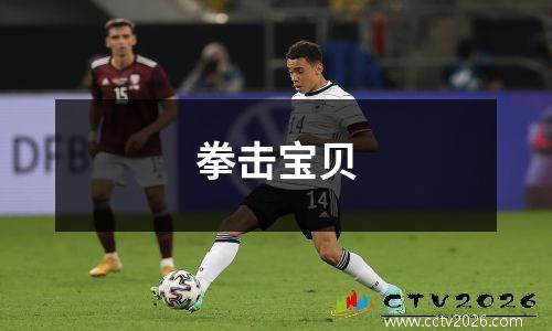 拳击宝贝