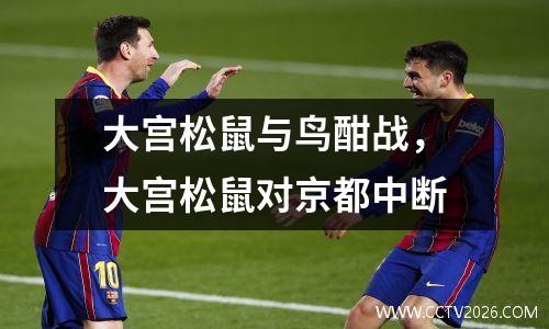 大宫松鼠与鸟酣战，大宫松鼠对京都中断