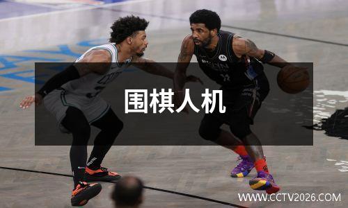 围棋人机