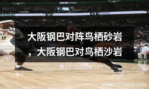 大阪钢巴对阵鸟栖砂岩，大阪钢巴对鸟栖沙岩
