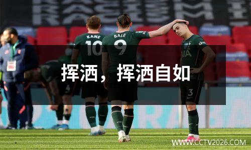 挥洒，挥洒自如