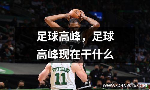 足球高峰，足球高峰现在干什么