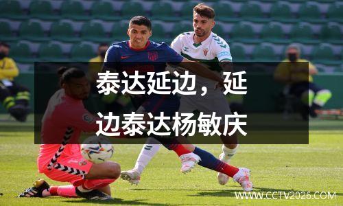 泰达延边，延边泰达杨敏庆