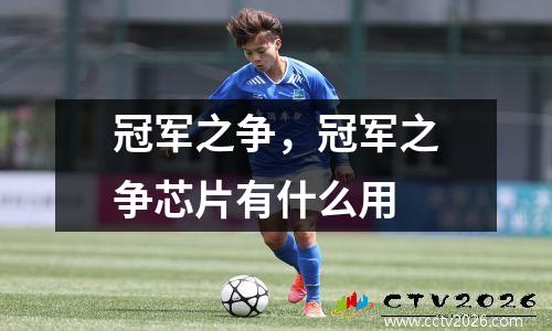 冠军之争，冠军之争芯片有什么用