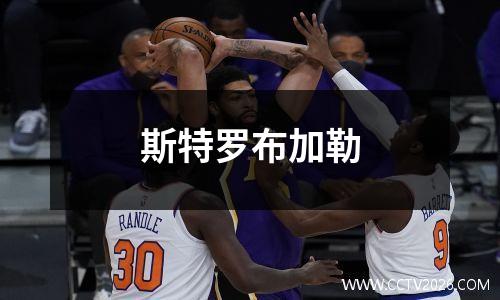 斯特罗布加勒
