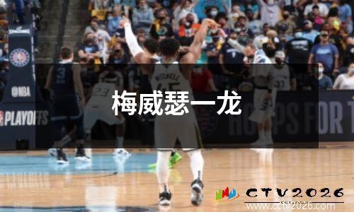 梅威瑟一龙
