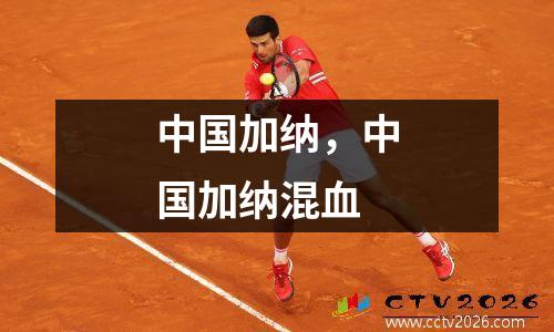 中国加纳，中国加纳混血