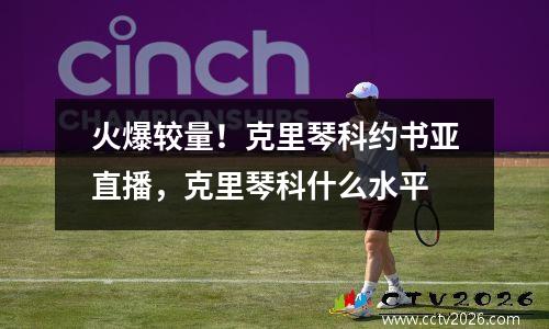 火爆较量！克里琴科约书亚直播，克里琴科什么水平