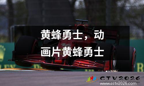 黄蜂勇士，动画片黄蜂勇士