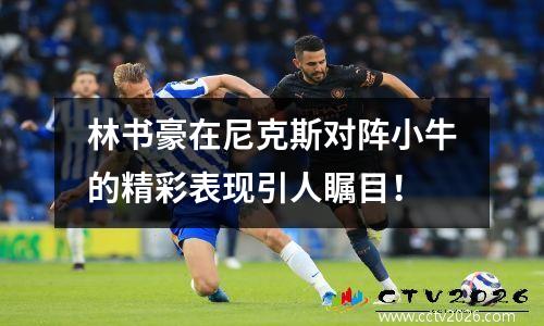 林书豪在尼克斯对阵小牛的精彩表现引人瞩目！