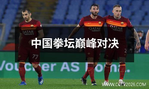 中国拳坛巅峰对决
