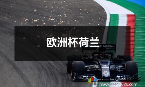 欧洲杯荷兰