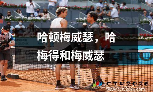 哈顿梅威瑟，哈梅得和梅威瑟