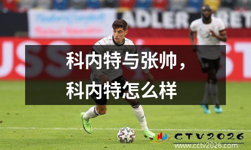 科内特与张帅，科内特怎么样