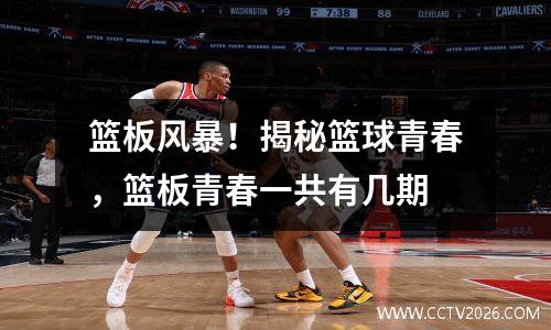 篮板风暴！揭秘篮球青春，篮板青春一共有几期