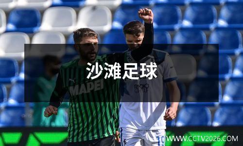 沙滩足球