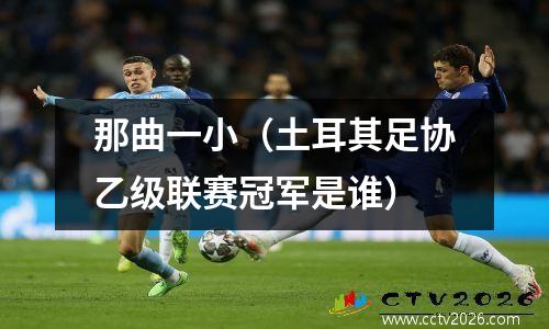 那曲一小（土耳其足协乙级联赛冠军是谁）