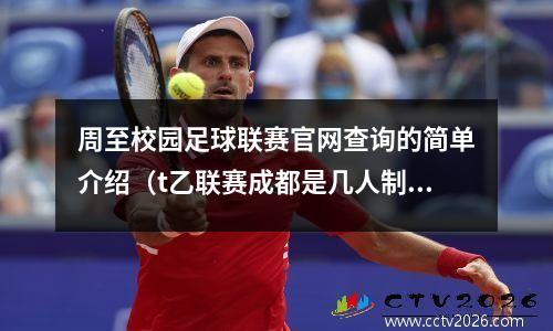 周至校园足球联赛官网查询的简单介绍（t乙联赛成都是几人制比赛）