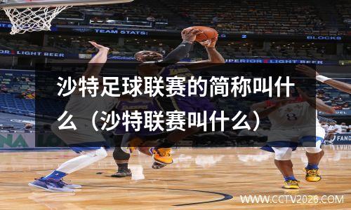 沙特足球联赛的简称叫什么（沙特联赛叫什么）