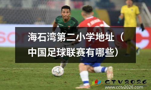 海石湾第二小学地址（中国足球联赛有哪些）