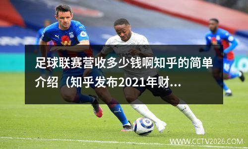 足球联赛营收多少钱啊知乎的简单介绍（知乎发布2021年财报）