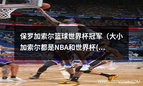 保罗加索尔篮球世界杯冠军（大小加索尔都是NBA和世界杯(世锦赛)的双料冠军）