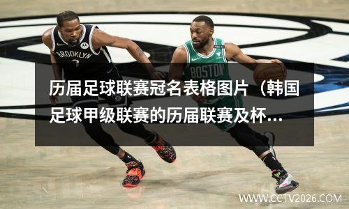 历届足球联赛冠名表格图片（韩国足球甲级联赛的历届联赛及杯赛冠军）