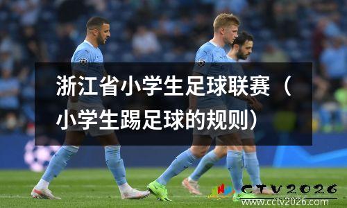 浙江省小学生足球联赛（小学生踢足球的规则）