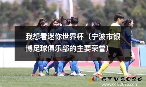 我想看迷你世界杯（宁波市银博足球俱乐部的主要荣誉）