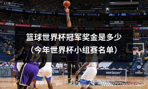 篮球世界杯冠军奖金是多少（今年世界杯小组赛名单）
