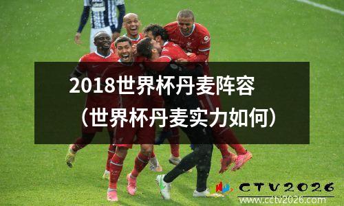 2018世界杯丹麦阵容（世界杯丹麦实力如何）