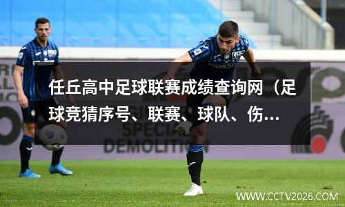 任丘高中足球联赛成绩查询网（足球竞猜序号、联赛、球队、伤停人员在哪查）